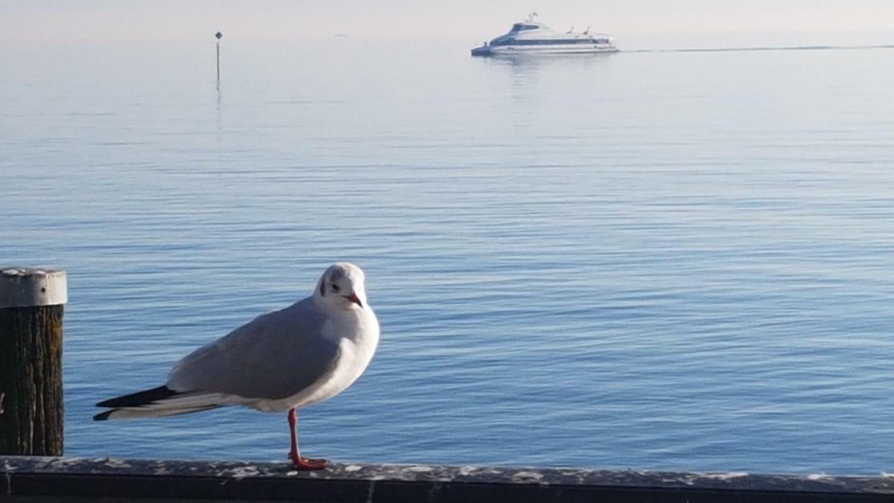 Ferienwohnung "Waldeck" Nahe Messe Und Bodensee 腓特烈港 外观 照片